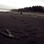 Beach footprints